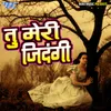 About Tu Meri Jindagi Song